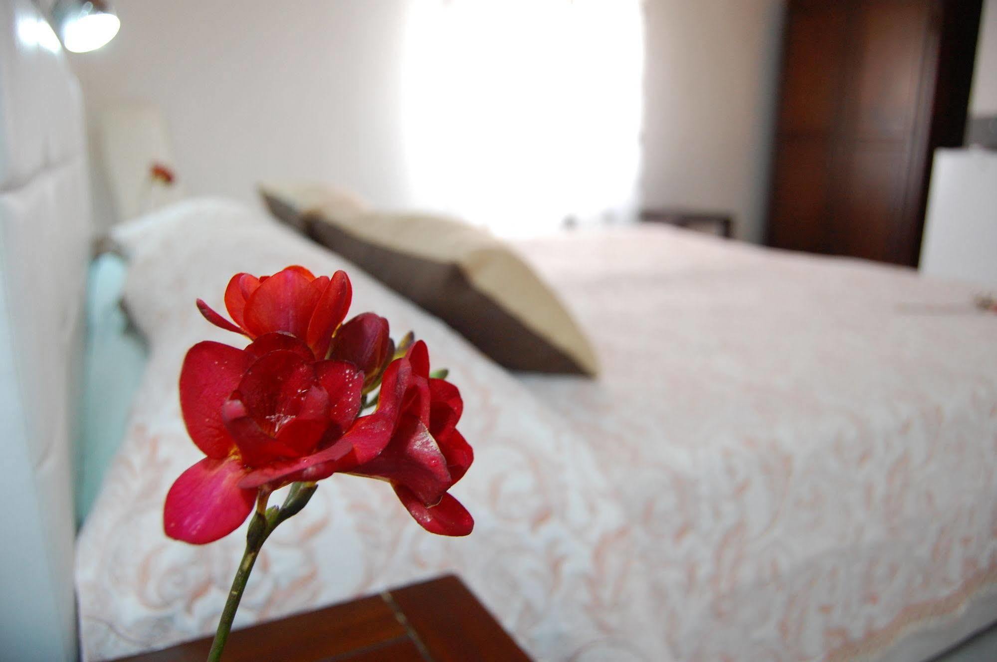 Bed and Breakfast Il Mirto E La Rosa Arenella  Exterior foto